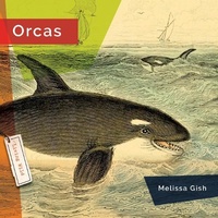 Enlarge image Cover: Orcas - Creative Education/Creative Paperbacks