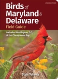 Cover: Birds of Maryland & Delaware Field Guide - Adventure Publications, Incorporated