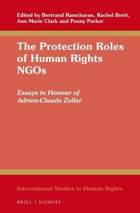 Enlarge image Cover: The Protection Roles of Human Rights NGOs - Martinus Nijhoff