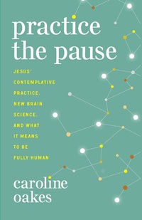 Abbildung von: Practice the Pause - Broadleaf Books