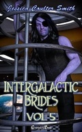 Cover: Intergalactic Brides Vol. 5 - Changeling Press LLC
