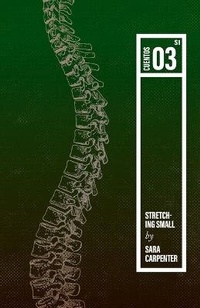 Enlarge image Cover: Stretching Small - Sara Carpenter