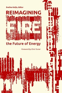 Enlarge image Cover: Reimagining Fire - Durvile Publications Ltd.