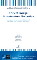 Cover: Critical Energy Infrastructure Protection - IOS Press,US