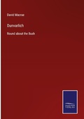 Cover: Dunvarlich - Outlook