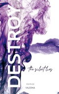 Cover: DESTROY the silent lies (DESTROY-Reihe 2) - VAJONA