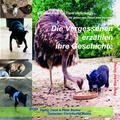 Cover: Die Vergessenen erz&auml;hlen ihre Geschichte - Becker, Peter