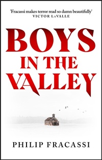 Enlarge image Cover: Boys in the Valley - Orbit