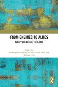 Cover: From Enemies to Allies - Routledge