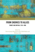 Bild: From Enemies to Allies - Routledge