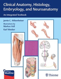 Abbildung von: Clinical Anatomy, Histology, Embryology, and Neuroanatomy - Thieme Publishers