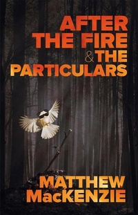 Enlarge image Cover: After the Fire & the Particulars - Playwrights Canada Press