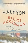 Cover: Halcyon - Vintage