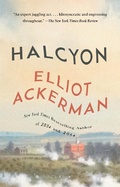 Cover: Halcyon - Vintage