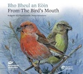 Cover: Bho Bheul an Eoin - Woodlands Studios