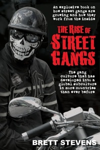 Enlarge image Cover: The Rise of Street Gangs - New Holland Publishers