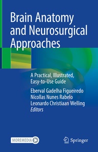 Abbildung von: Brain Anatomy and Neurosurgical Approaches - Springer