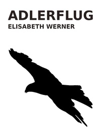 Enlarge image Cover: Adlerflug - Books on Demand