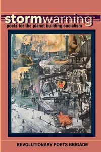 Enlarge image Cover: Storm Warning - Homeward Press