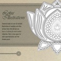 Cover: Lotus Illustrations - Lulu.com