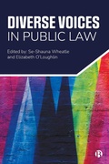 Cover: Diverse Voices in Public Law - Bristol University Press