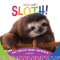 Enlarge image Cover: Hello Baby Sloth! - Sleeping Bear Press