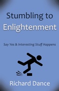 Cover: Stumbling to Enlightenment - Wheatmark