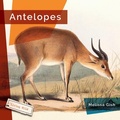 Cover: Antelopes - Creative Education and Creative Paperbacks