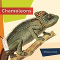 Cover: Chameleons - Creative Education