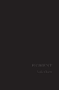 Enlarge image Cover: Figment - Bull City Press