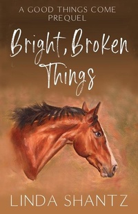 Abbildung von: Bright, Broken Things - Linda Shantz