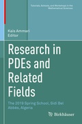 Cover: Research in PDEs and Related Fields - Birkh&auml;user