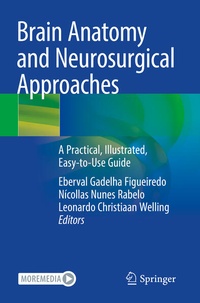 Abbildung von: Brain Anatomy and Neurosurgical Approaches - Springer
