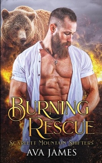 Abbildung von: Burning Rescue - IngramSpark
