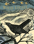 Cover: Wild Light - Sphere
