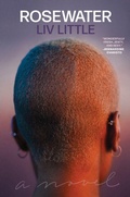Cover: Rosewater - Get Lifted Books