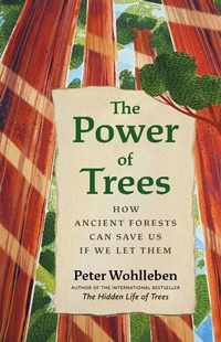 Abbildung von: The Power of Trees - Greystone Books