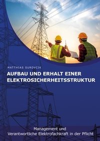 Abbildung von: Aufbau und Erhalt einer Elektrosicherheitsstruktur - MS Verlag