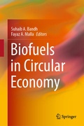 Cover: Biofuels in Circular Economy - Springer