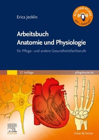 Abbildung von: Arbeitsbuch Anatomie und Physiologie - Urban & Fischer