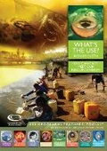 Cover: What's the Use? - Geographical Association
