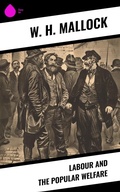 Cover: Labour and the Popular Welfare - Sharp Ink