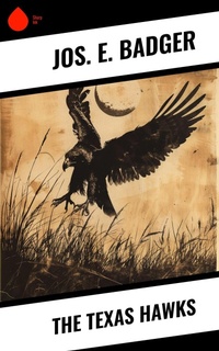 Enlarge image Cover: The Texas Hawks - Sharp Ink