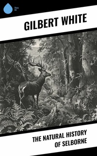 Abbildung von: The Natural History of Selborne - Sharp Ink