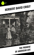Cover: The Promise of American Life - Sharp Ink