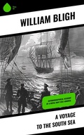 Cover: A Voyage to the South Sea - Sharp Ink