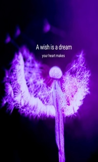 Abbildung von: Wish is a dream - Lulu Press Inc
