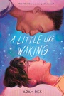 Cover: A Little Like Waking - Roaring Brook Press