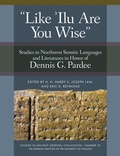 Cover: 'Like 'Ilu Are You Wise' - Institute for the Study of Ancient Cultures