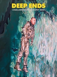 Enlarge image Cover: Deep Ends - Terminal Press